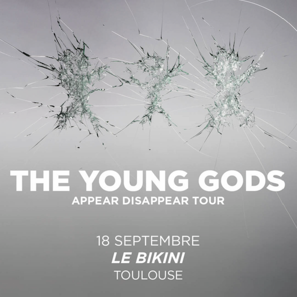 THE YOUNG GODS 